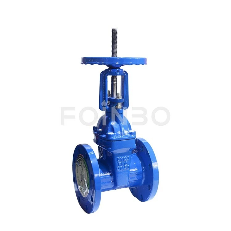 Ductile Gate Valves (5)